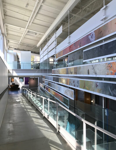 Murals at the Museum of the Earth in Ithaca, New York