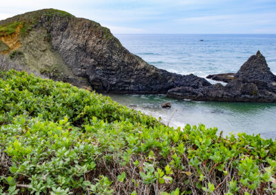 Coastal seascape in Oregon with rocks and foliage