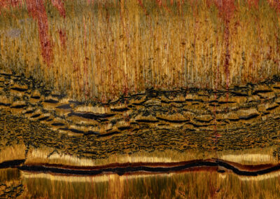 Mineral striations and patterns resembling autumn grass by a river