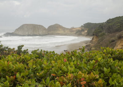 Seascape photograph of Seal Rock in Oregon