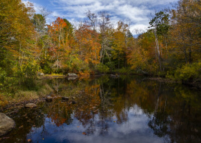 A peaceful pondside scene in Devil's Hopyard State Park in East Haddam, Connecticut