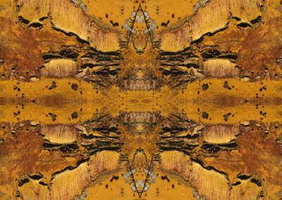 A reflective pattern of yellow, orange, brown and black makes a quiltlike pattern