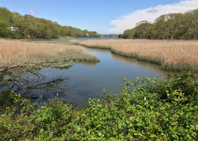 Landscape photo of Setauket Marsh in New York