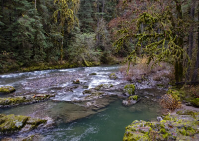 Landscape photo of a river running through an Oregon forest