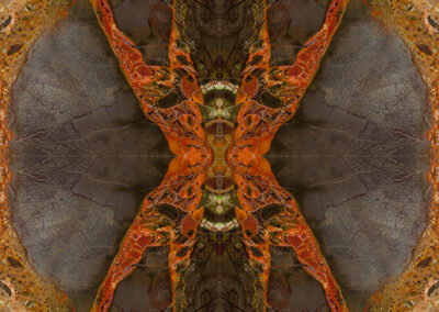 Reflective orange patterns resemble a strange spiderlike version of the Vitruvian Man