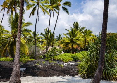An idyllic beach scene in Hawaii