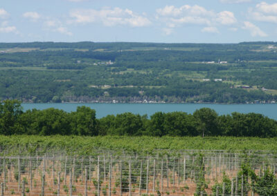 Landscape photo at Seneca Lake Wineries in New York
