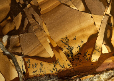 Fragmented orange and brown matrix shot through with dendritic plantlike patterns