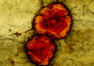 Bright red orblike features in a olive-green mineral setting