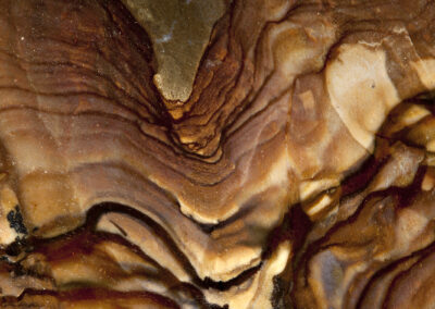 Undulating yellow and brown layers lead to an olive-green valley