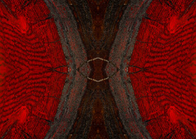 Reflective red and black patterns with fibrous yellow streaks in the center