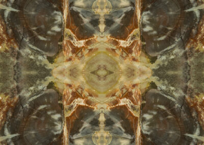 Reflective patterns in rust, yellow, orange and olive green