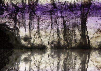 A dark treescape tinted with purple and light yellow