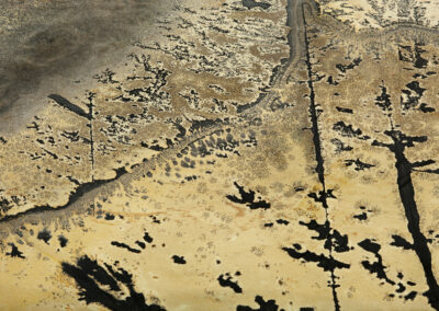 Dark patterns on a tan background resemble an aerial view of lakes