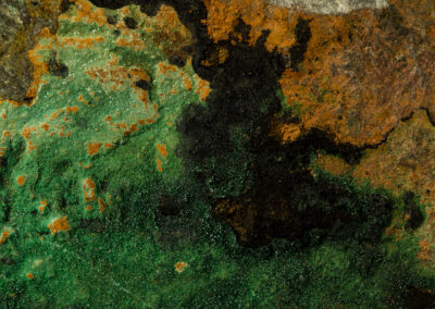 Dark green and rust colors resemble and aerial jungle landscape under stress