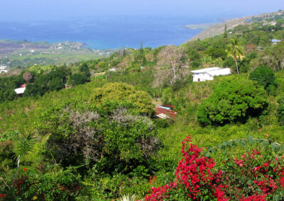 Green hills overlook the ocean in Hawaii with houses dotting the hillside