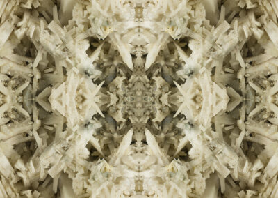 Milky crystals are reflected to form a complex pattern