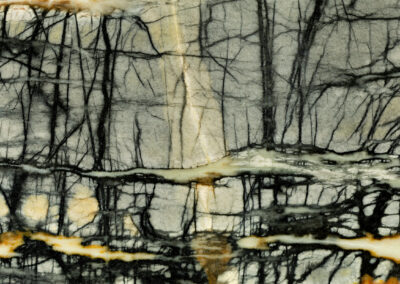 Gray mineral interwoven with black veins and a light streak down the center