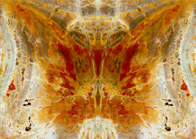 Reflected orange mineral patterns resembling a butterfly