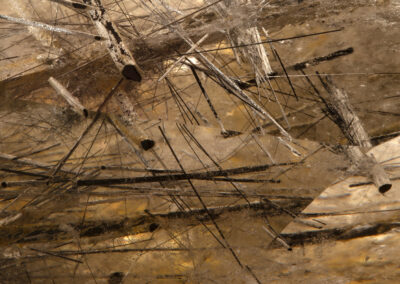 Spiky protrusions in a muddy geometric matrix