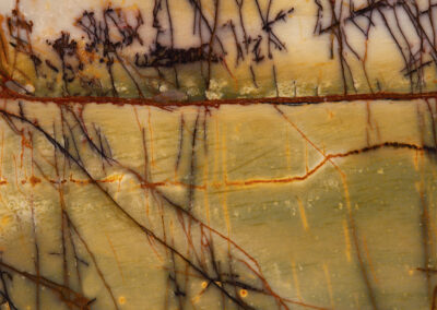 Dendritic mineral patterns in brown and orange