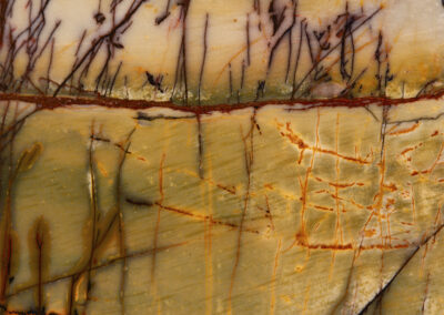 Dendritic mineral patterns in brown and orange