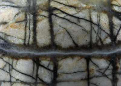 Black dendritic patterns in a dappled tan background form a moonlit scene