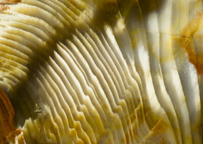 Layered pale yellow striations on a rusty orange background