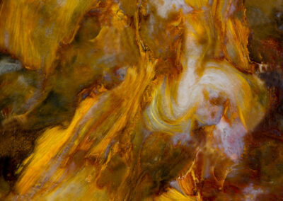 Flamelike patterns in a mineral cross section