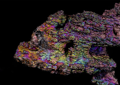 Iridescent nodules, almost fish shaped, on a black background