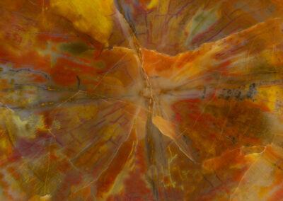 A pattern like petrified wood with tinges of rust, orange and celadon