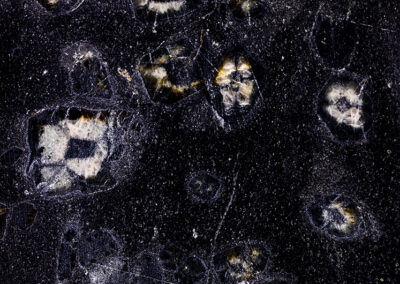 Starlike white and orange mineral formations in a black background with bright speckles