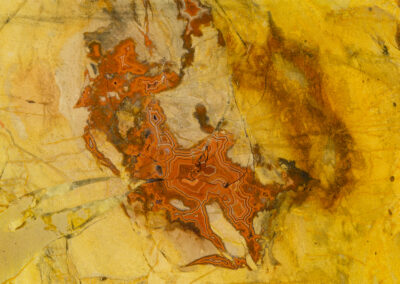 an orange striped figure within a yellow mineral matrix