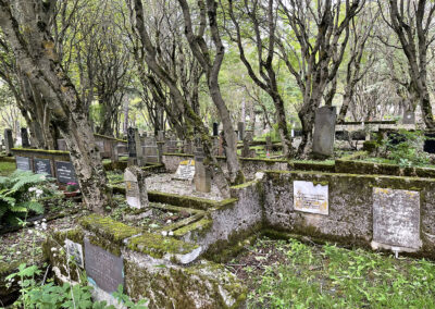 A tree-studded cemetery in Iceland