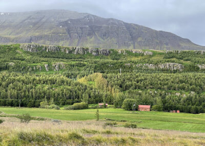 An Icelandic farm in a valley overlooked by a mountain