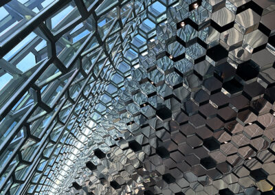 Complex cell-like patterns in the glass walls of the Harpa Concert Hall