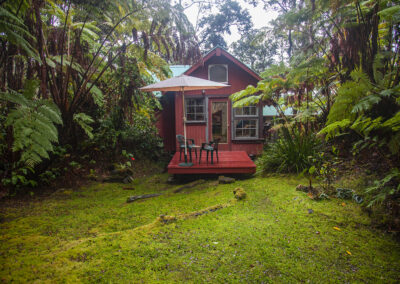 A small red house in the midst of a lush Hawaiian forest