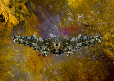 Photo composition of a crystalline structure flying over a reed-strewn river with clear water