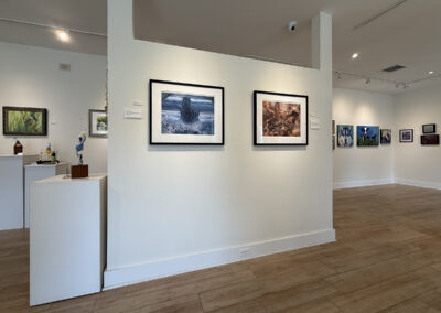 George Fellner photos in an art exhibit