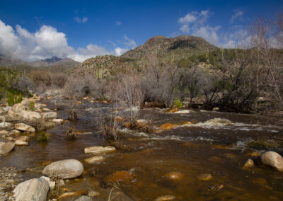 A river runs through Sabino Canyon in Arizona