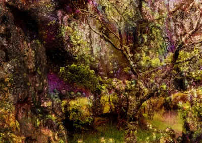 Photo composition of treed landscape with crystalline mineral