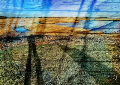 A wetlands with long shadows and a superimposed crystal layer