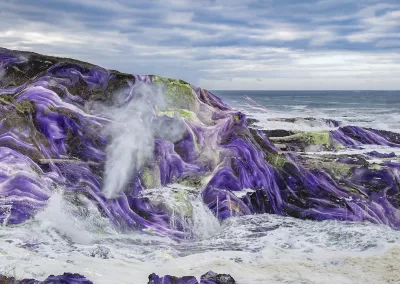 A rocky coastline overlaid by a purplish mineral texture