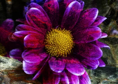 A purple flower with an overlaid mineral texture
