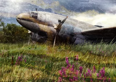 An old two-prop airplane appears in a field with a cloudy mineral background