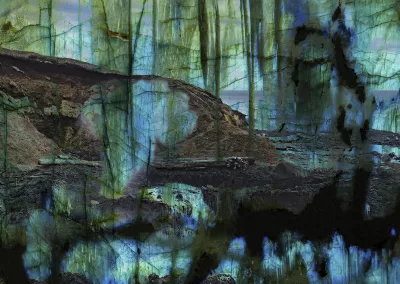 Strange blurry treelike figures appear in a landscape