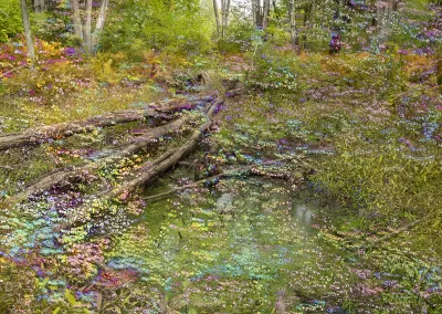 Iridescent colors on a forest background evokes an impressionist feel