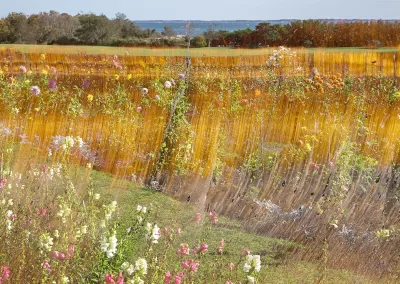 A flower field with a mineral background evokes an impressionist feel