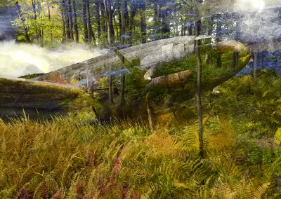 An old airplane sits amid a foggy primeval landscape with ferns